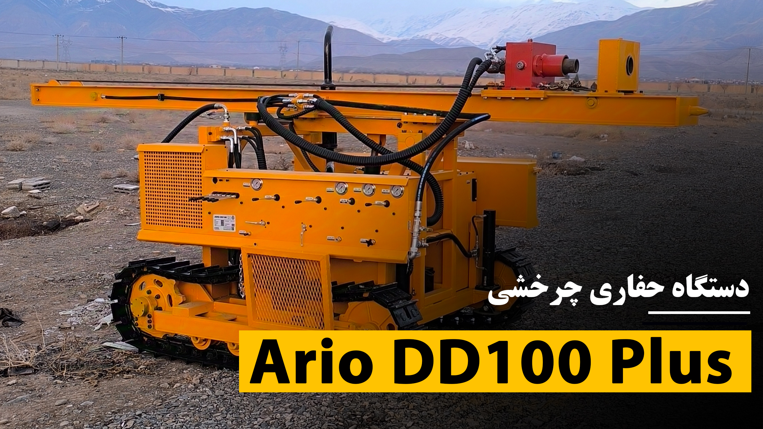 DD100